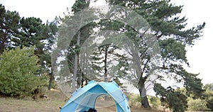 A blue tent is pitched among tall trees in a serene forest setting