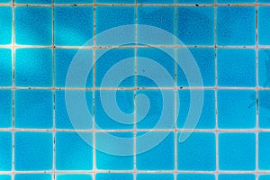 Blue Tile of Swimming Pool
