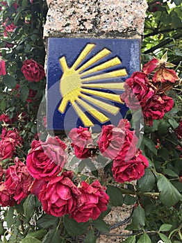 Blue Scallop Tile Surrounded by Faded Roses in Portugal photo
