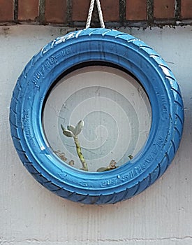 Blue tire