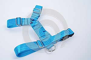 Blue tissue dog harness with silver metal fittings isolated on white background. For a safe trip and walk with your pet. Pet