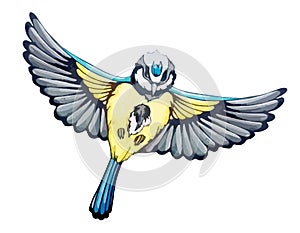 Blue tit in flight across sky in watercolor style. Folk tit with yellow feathers. Spring bird fly with open wings and