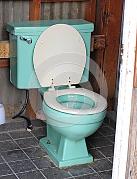 Blue toilet