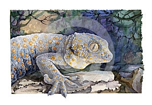 Blue tokay gecko on the stone watercolor illustration. Tropical jungle lizard. Hand drawn exotic reptile in the jungle with natura