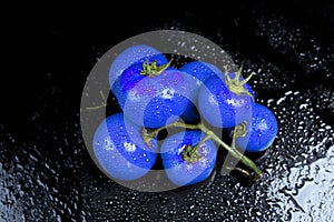 Blue tomatoes under water drops