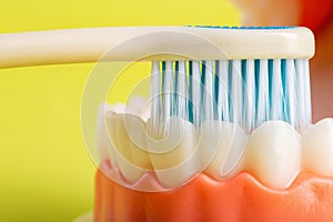 A blue toothbrush cleans teeth in the oral cavity of a dental jaw mockup on a yellow background. Concept of care and