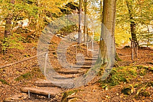 Blue tourist signpost on tree near wooden stairway leading to Kokorin castle in Kokorinsko landscape area in autumnal Czech republ