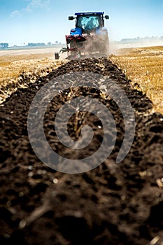 blue tractor pulls plow, tillage closeup in focus, agrarian preparing