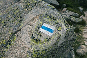 Blue trailblazing symbol on a stone covered with lichens photo