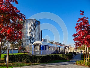 A blue train between two red leaf trees and buildings in the background and a blue sky