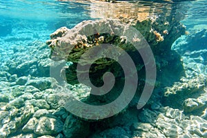 Blue transparent water and pitfalls of the Aegean Sea, seascape. Underwater photography, selective focus.