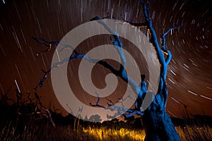 Blue tree, orange sky, star trails.