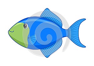 Blue triggerfish fish on a white background