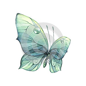 A blue, turquoise butterfly with a beautiful pattern on its wings, flying. Watercolor illustration hand drawn. Isolated