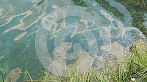 Blue Turquoise Lake Bubbles and Green Grass in Summer in Plitvice Lakes National Park Croatia