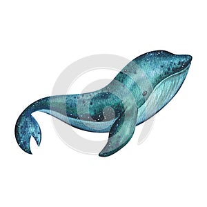Blue, turquoise whale with texture. Watercolor illustration hand drawn in childish simple style. Isolated object on a