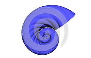 Blue twisted sea shell