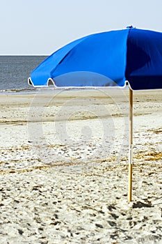 Blue Umbrella on the beach