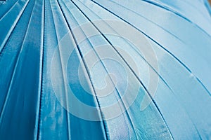 Blue umbrella textures backgrounds