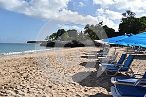 Blue Umbrellas and Lounge Chairs on Store Bay, Tobago