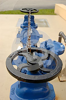 Blue Valve