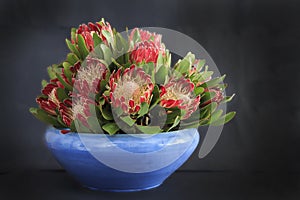 Blue vase with protea flowers