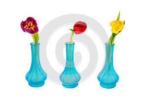 Blue vases with colorful tulips