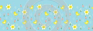 Blue vector illustration. Bright daffodils, flowers, and chicken horizontal seamless pattern border background.