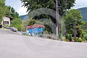 Blue vehicular filled with flowers in france