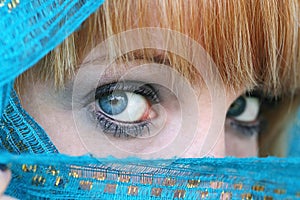 The blue veil photo