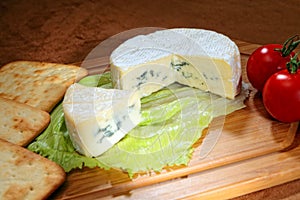 Blue veined camembert