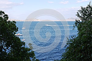 Blue view of the sea between green bushes. In the water people rest on catamarans, boats and boats