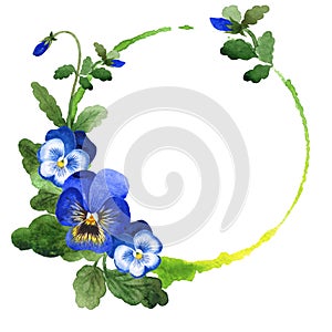 Blue viola frame. Floral botanical flower. Green leaf. Leaf plant botanical garden floral foliage. Frame border ornament