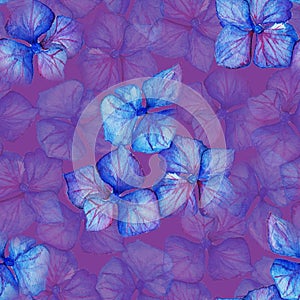 Blue violet hydrangea flowers composition seamless pattern background texture