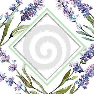 Blue violet lavender floral botanical flowers. Watercolor background illustration set. Frame border ornament square.