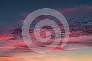 Blue violet red sunset sky background with evening fluffy curly rolling cirrostratus clouds. Good windy weather