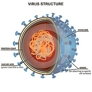 Blue virus cells or bacteria on white background