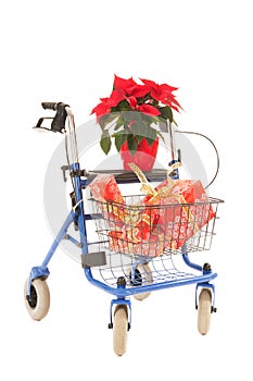 Blue walker with Christmas gifts and Poinsettia