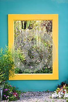 blue wall with yellow square ornamental plants garden decor and flowers