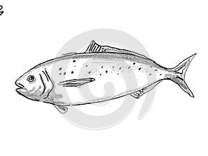 Blue Warehou New Zealand Fish Cartoon Retro Drawing