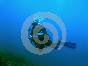 Blue water diver sipadan borneo