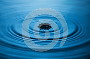 Blue Water drop falling, macro splash. Natural background