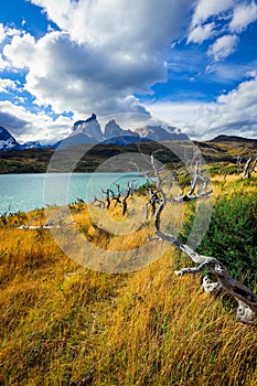 Blue Water of the Lake in the Torres Del Paine National Park, Chile