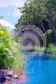 Blue water pond with a fountain amid green trees in garden