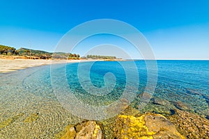 Blue water in Porto Tramatzu