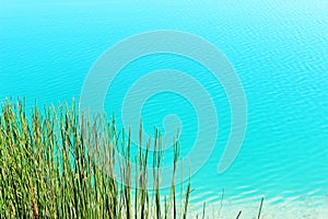 Blue water with ripples on a pond.