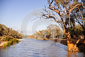 Blue water running through trees in the outback of Australia