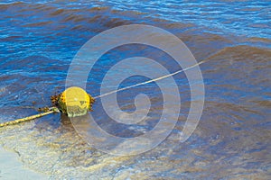 Blue water waves and ocean with buoy and ropes Mexico