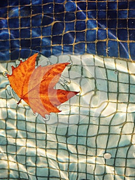 Blue water with leaf