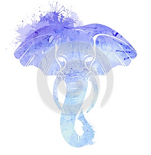 Blue watercolor silhouette of elephant head with trunk, tusks and splash. Wild mammal. Vector drawing
